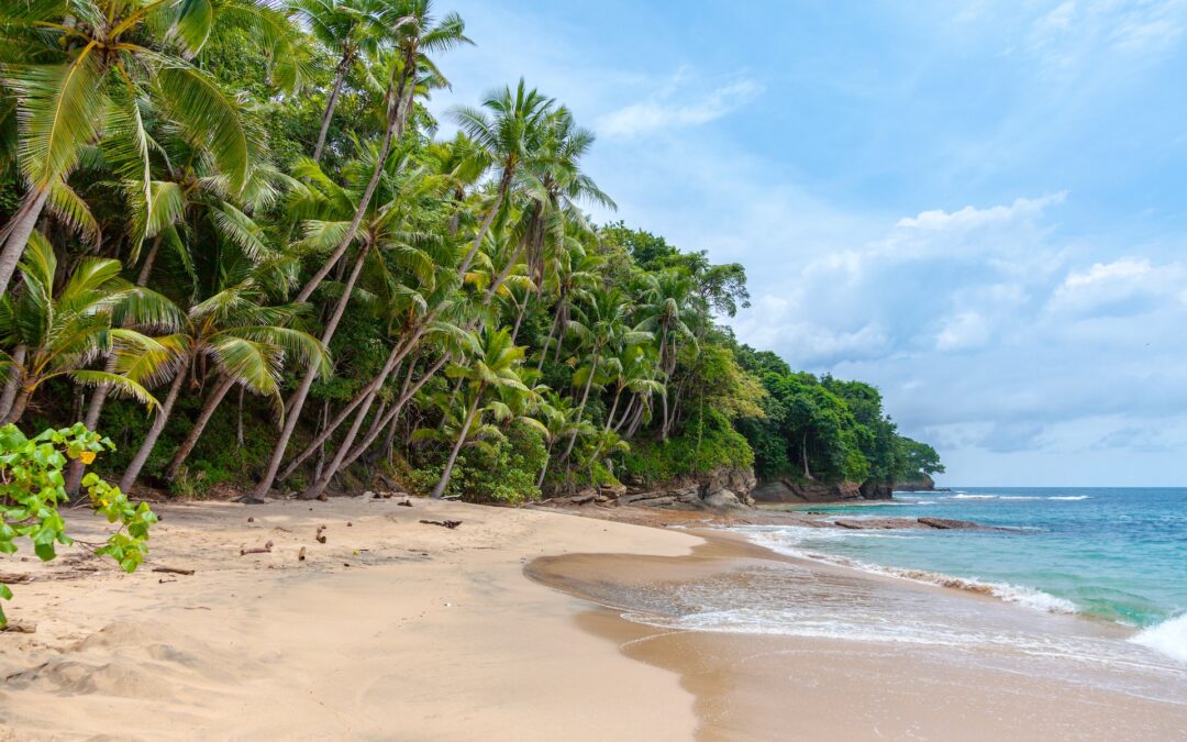 Hidden Beaches of Goa: Unveiling the Unexplored