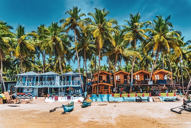 Why You Should Travel to Goa in 2023